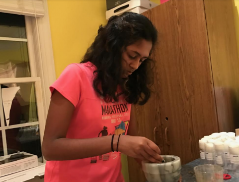 Sophomore Asha Maran works on her Science Fair project studying flowers as pesticides against fruit flies.