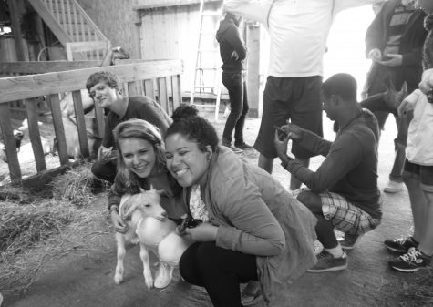 Chantilly graduates Jack Thompson, Kristen Popham and Bre Cherry pose with a goat on a farm in Normandy during their summer trip to France.
