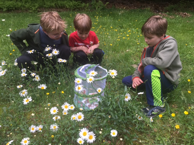 English teacher Jennifer Dean took a 10-year hiatus to raise her three sons, pictures here releasing butterflies.