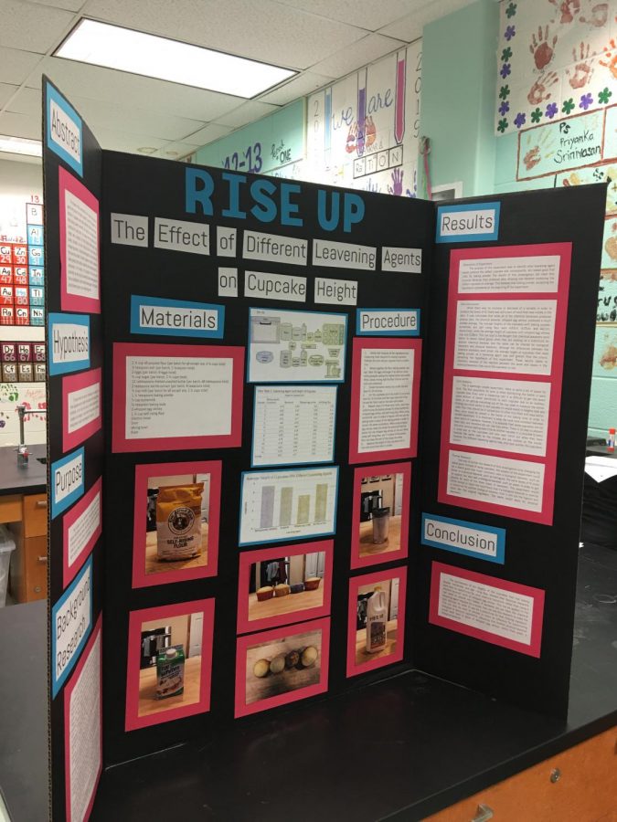 Many of these decorative tri-fold boards filled classrooms around the school as students presented their Science Fair projects to multiple judges. The projects will later be evaluated for awards.
