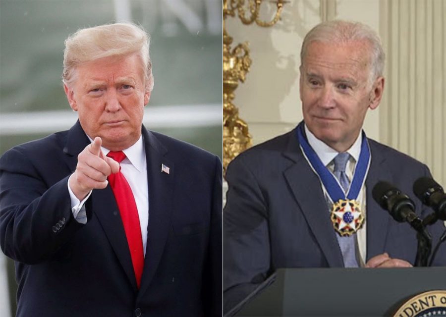 President Donald Trump and former Vice President Joe Biden are both running for president. 