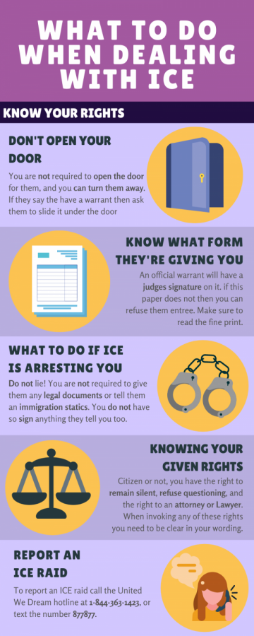what right you have to protect yourself from ICE