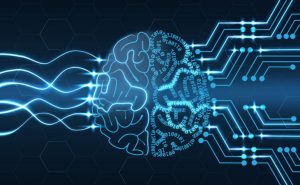 This shows the indicative of the relationship between a human brain and AI learning- an AI tool analyzes data using algorithms that a human has programmed. 
