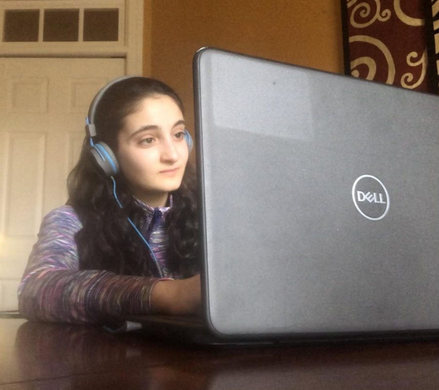 Freshman Eva Jaber works on her computer at home.