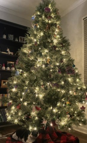 An evergreen tree with shiny ornaments hanging from its branches is often the staple of Christmas time. However, this tradition is not the only way the holiday season can be celebrated.