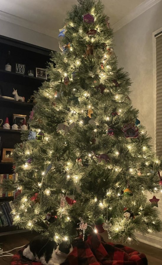 An+evergreen+tree+with+shiny+ornaments+hanging+from+its+branches+is+often+the+staple+of+Christmas+time.+However%2C+this+tradition+is+not+the+only+way+the+holiday+season+can+be+celebrated.