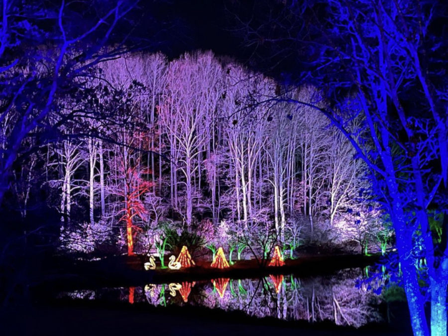 Meadowlark Botanical Gardens has miles of festive light displays for attendees to walk through and observe.
