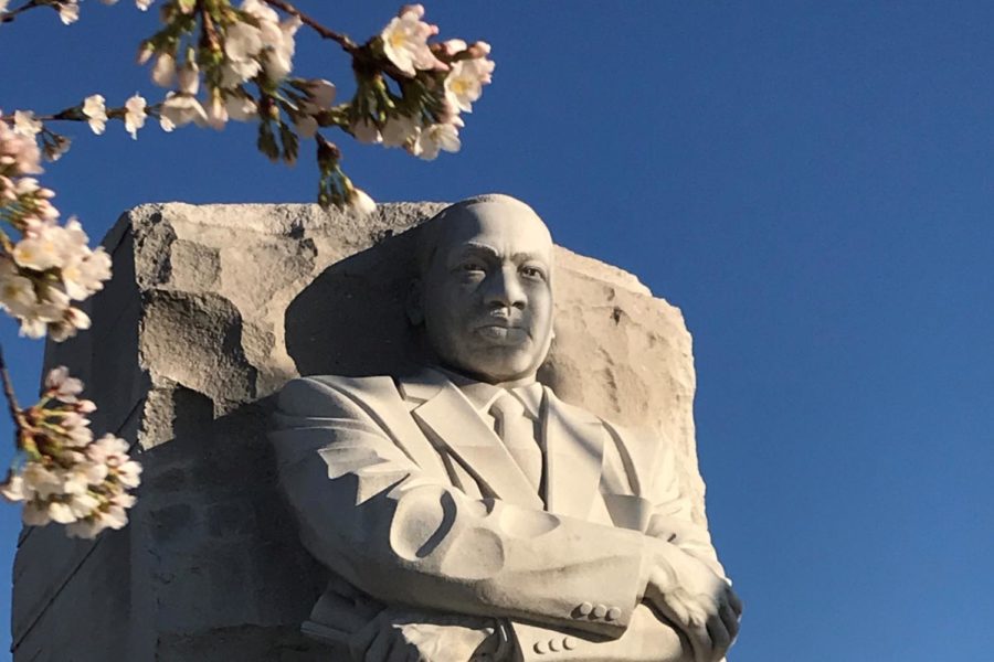 The Martin Luther King, Jr. memorial overlooks the cherry blossoms on March 27, 2021. 