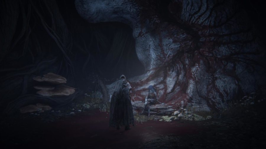 The player visits Ranni, one of the many non-playable characters in the game, in a secret area to end her questline and unlock one of the multiple endings players can find throughout the game. The extent FromSoftware has gone to make areas that might never be found by players is a major pro to the game as it makes players’ experiences with the game unique.