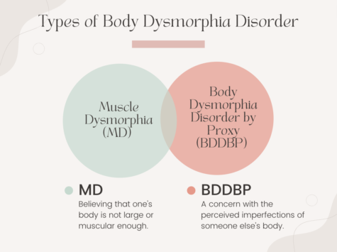 Body Dysmorphic Disorder is a mental condition that can affect any member of the pollution, but especially gym goes experiencing negative gym environments. 
