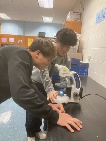 Twins and seniors Andrew and Josh Jung look into a microscope during AP Biology on Nov. 29.

