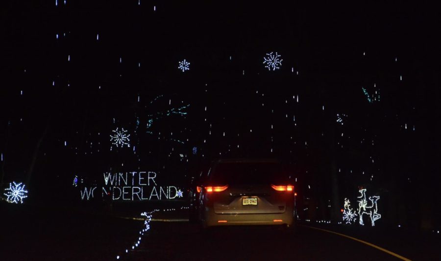 Shimmering snowflakes and meteor shower lights welcome viewers into the Winter Wonderland section, which aims to create the effect of a snow-laced forest.
“[The lights] look like it’s snowing and I love it so much,” Dimaiuta said.