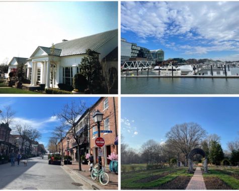 Many locations feature privacy and smaller crowds while providing beautiful backgrounds for pictures