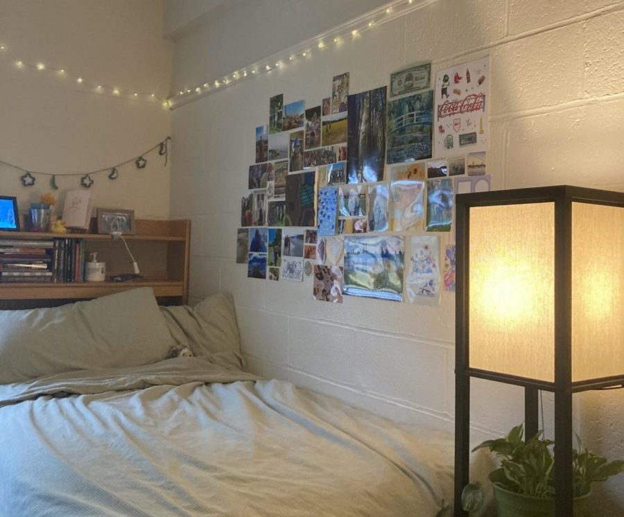 Simmons+University+freshman+Lili+Malatinsky%E2%80%99s+dorm+room+boasts+colorful+prints+and+shades+of+green.%0A%E2%80%9CHaving+string+lights+up+and+plants+all+around+my+room+makes+it+so+much+more+of+a+comfortable+environment%2C%E2%80%9D+Malatinsky+said.