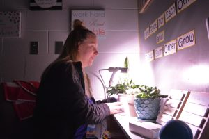 Tending for growth: Emotional disabilities teacher Kristin Carter adjusts her succulent pots in her classroom on Sep. 6.