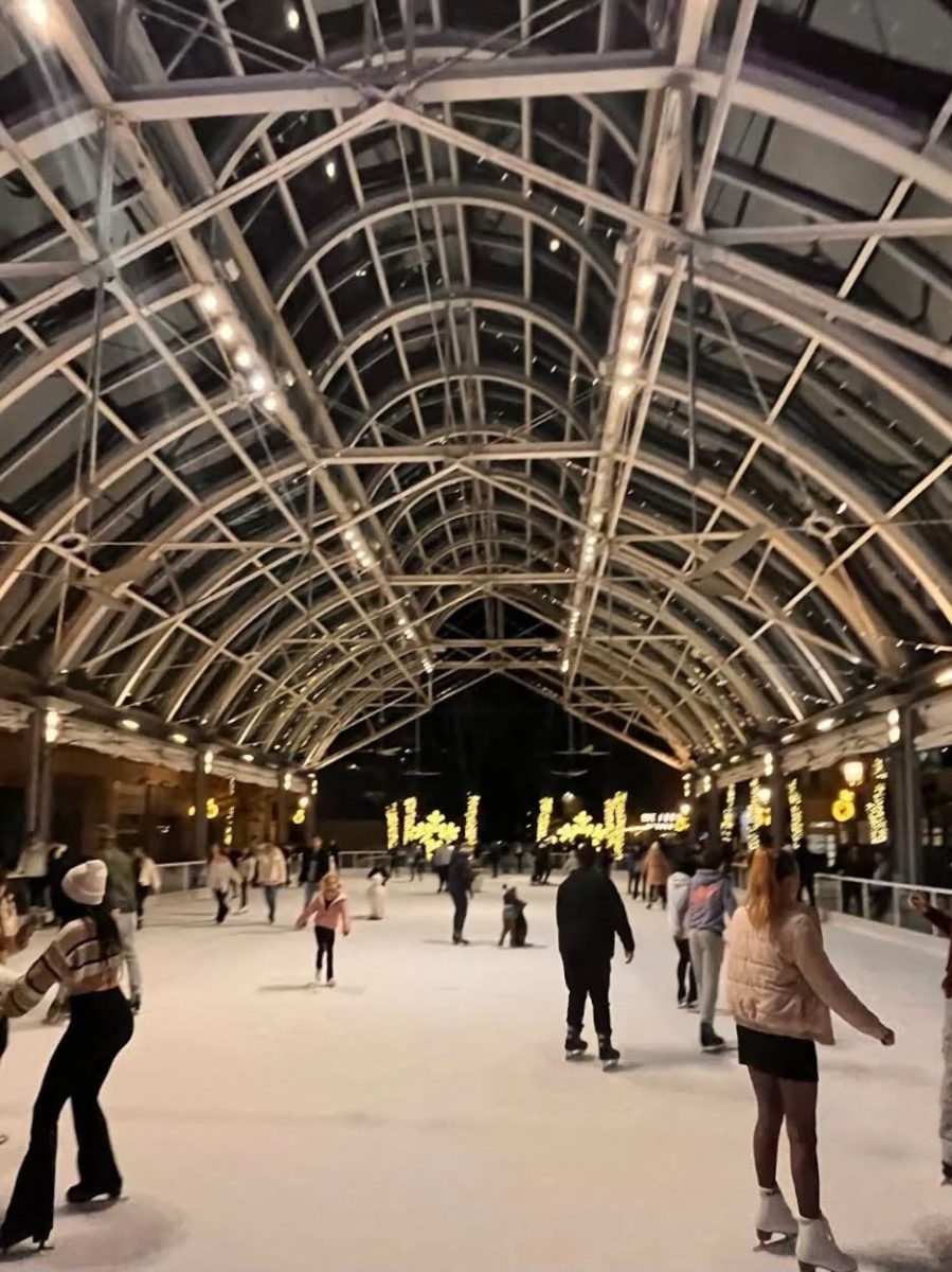 Demi Sandler visited Reston Town Center Ice Skating Pavilion on Dec.24,2023
“My favorite part of the skating rink is that it’s really pretty during the night,” sophomore Demi Sandler said.
