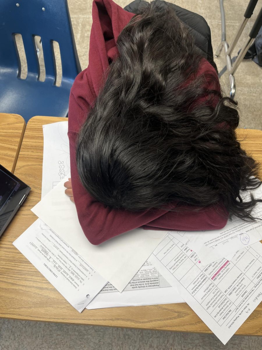 On Jan. 13, resting her head on her arms, sophomore Janya Patel embodies the burnout many face during high school. 