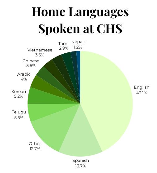 Home languages spoken at CHS, with languages representing 1% or fewer of students grouped into the “other” category.
